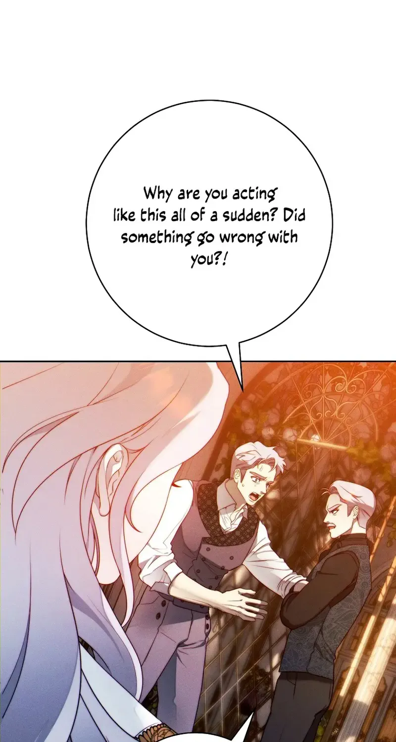 Read This Marriage Will Surely Succeed Manga Online