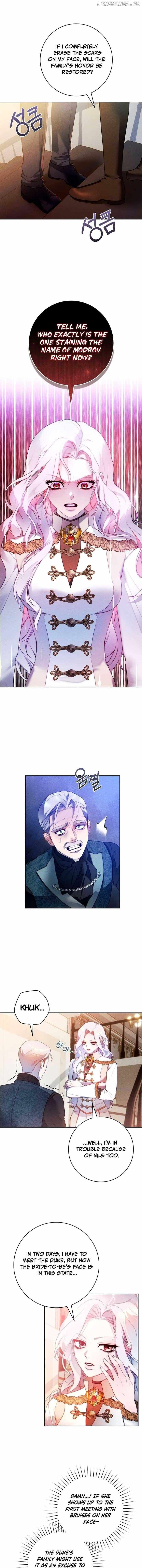 Read This Marriage Will Surely Succeed Manga Online