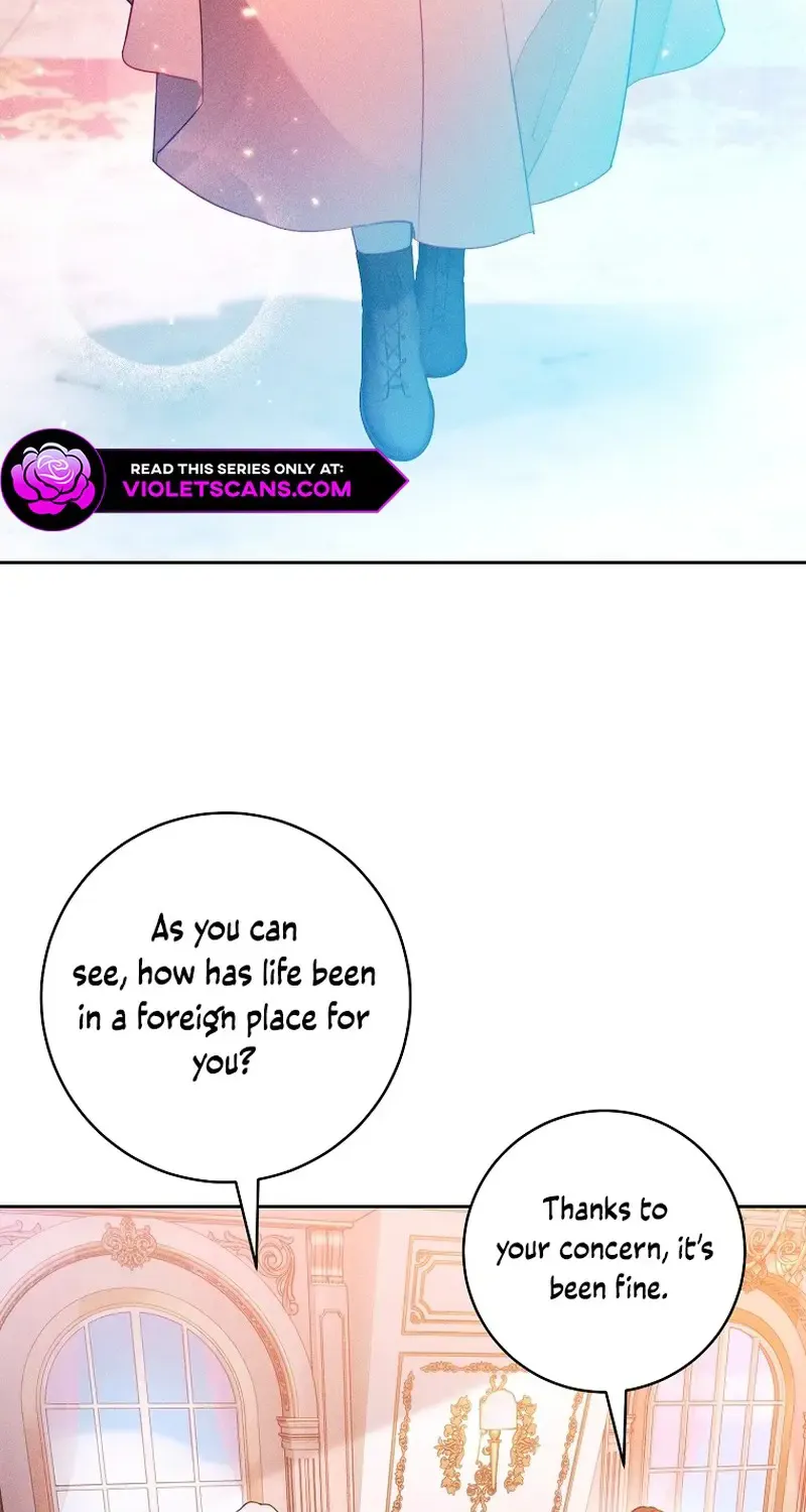 Read This Marriage Will Surely Succeed Manga Online