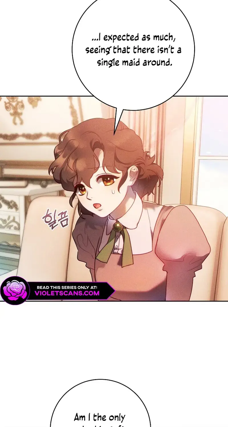 Read This Marriage Will Surely Succeed Manga Online