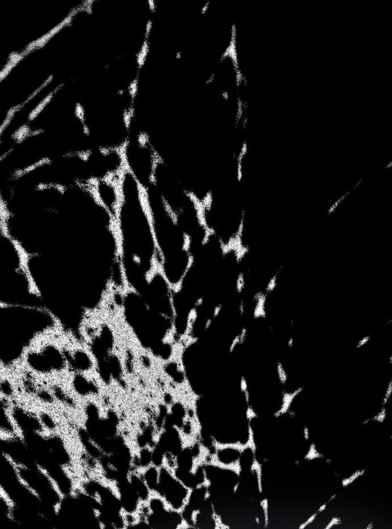 Read To the Noble and the Vile You Manga Online