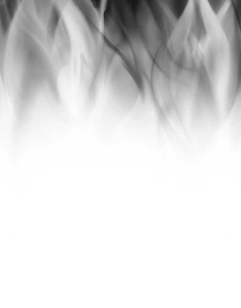 Read To the Noble and the Vile You Manga Online