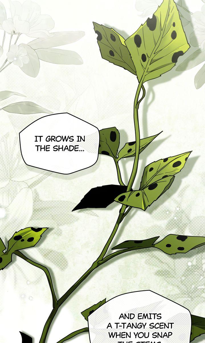 Read Under The Oak Tree Manga Online