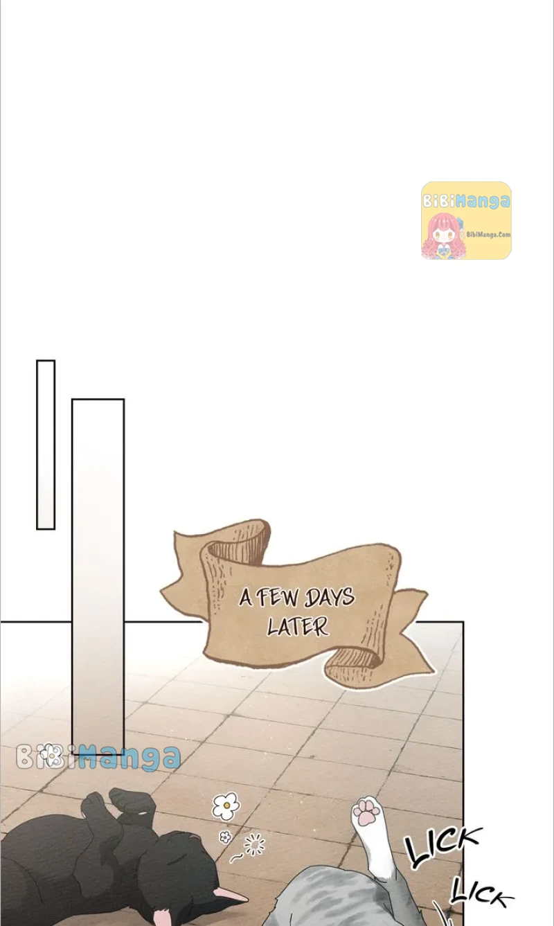 Read Under The Oak Tree Manga Online