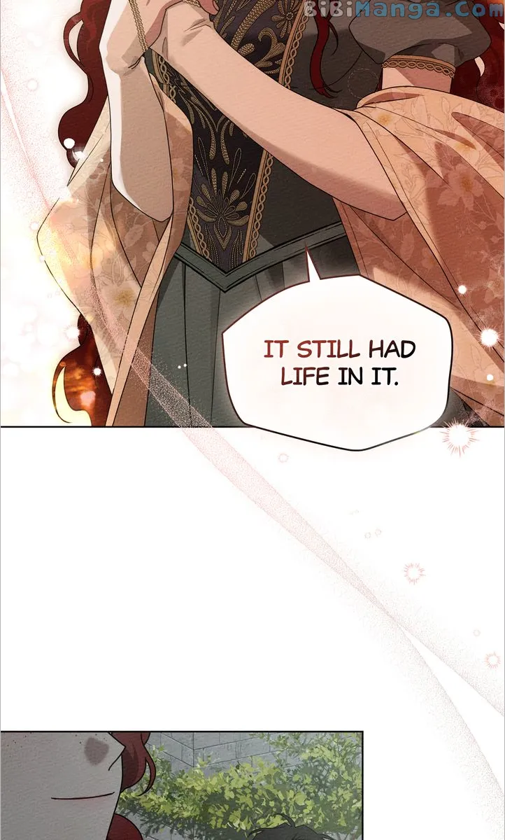 Read Under The Oak Tree Manga Online