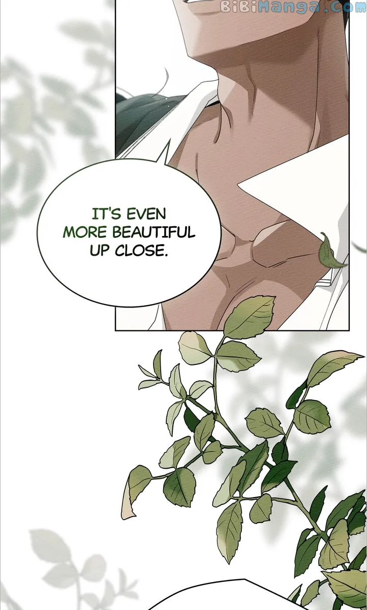 Read Under The Oak Tree Manga Online