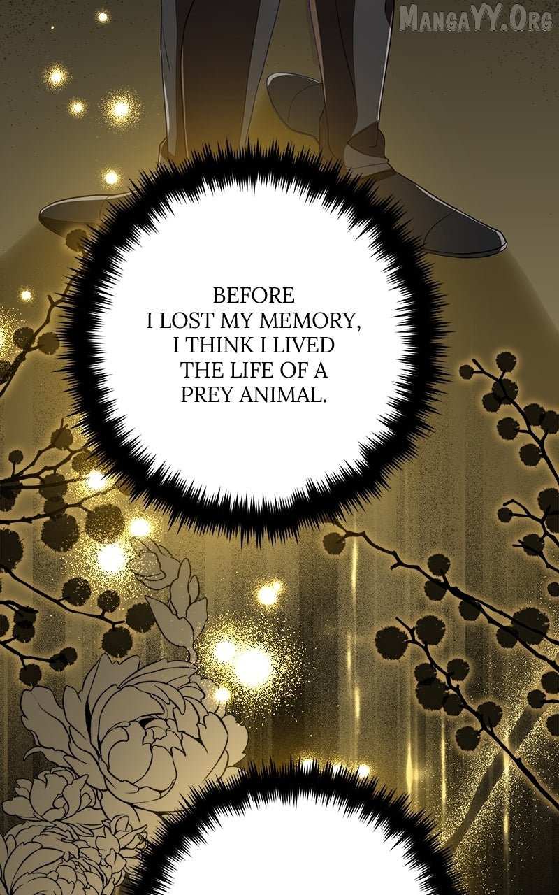 Read We Lost Our Engagement Manga Online