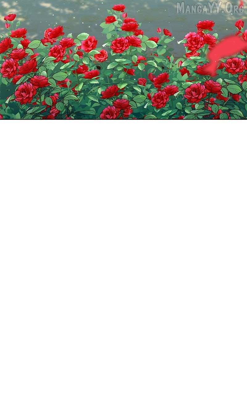 Read We Lost Our Engagement Manga Online