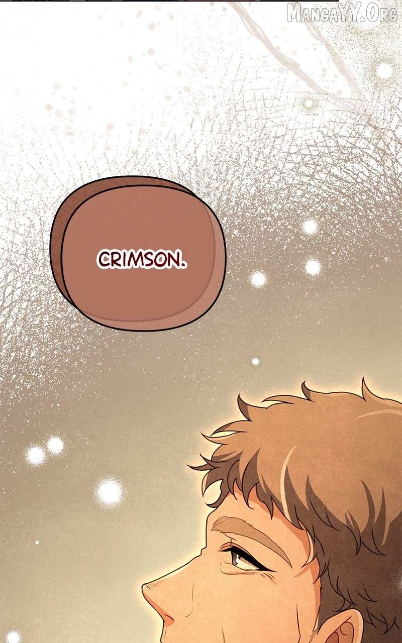 Read We Lost Our Engagement Manga Online