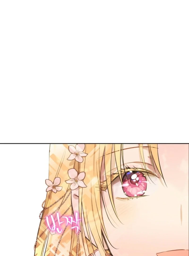 Read Who Made Me A Princess Manga Online