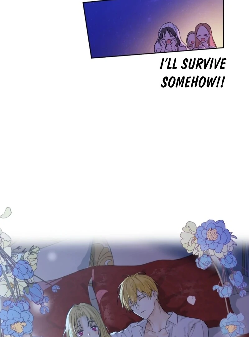 Read Who Made Me A Princess Manga Online