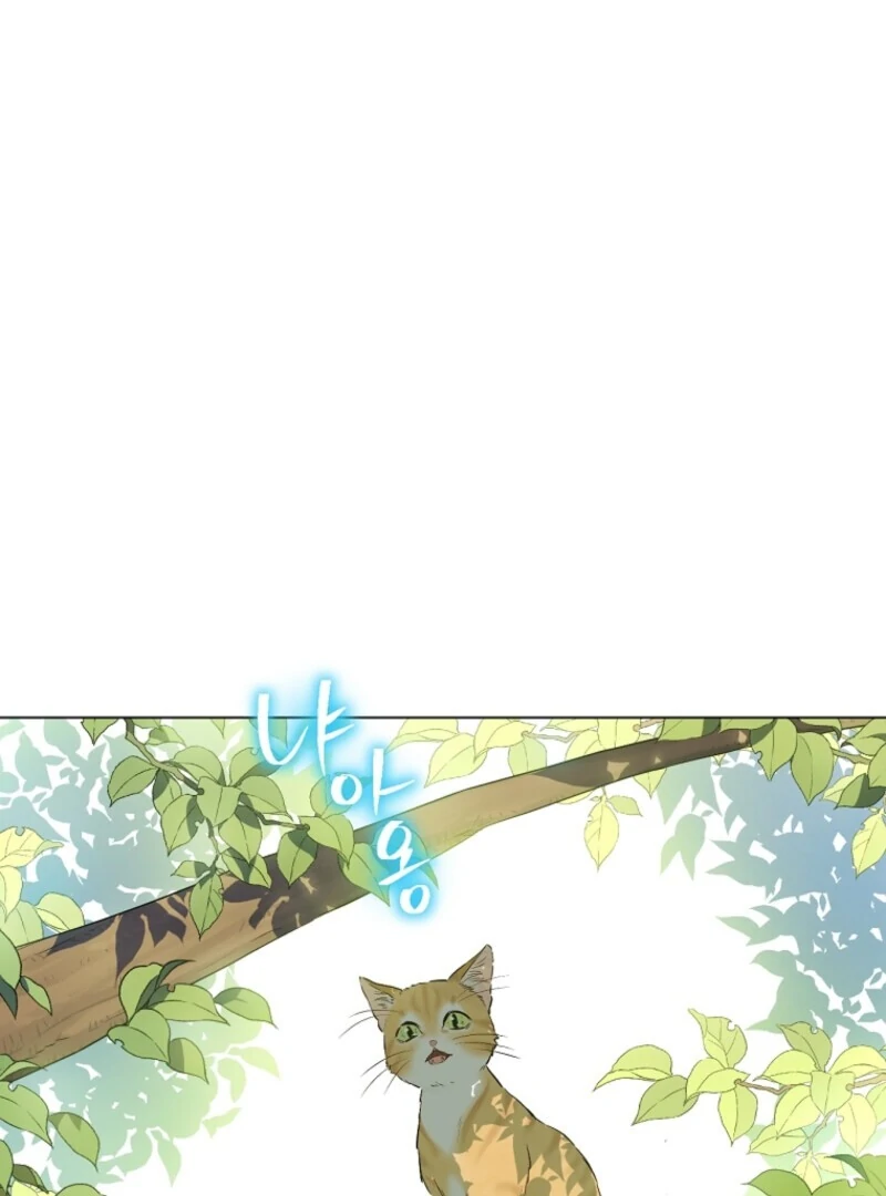 Read Who Made Me A Princess Manga Online