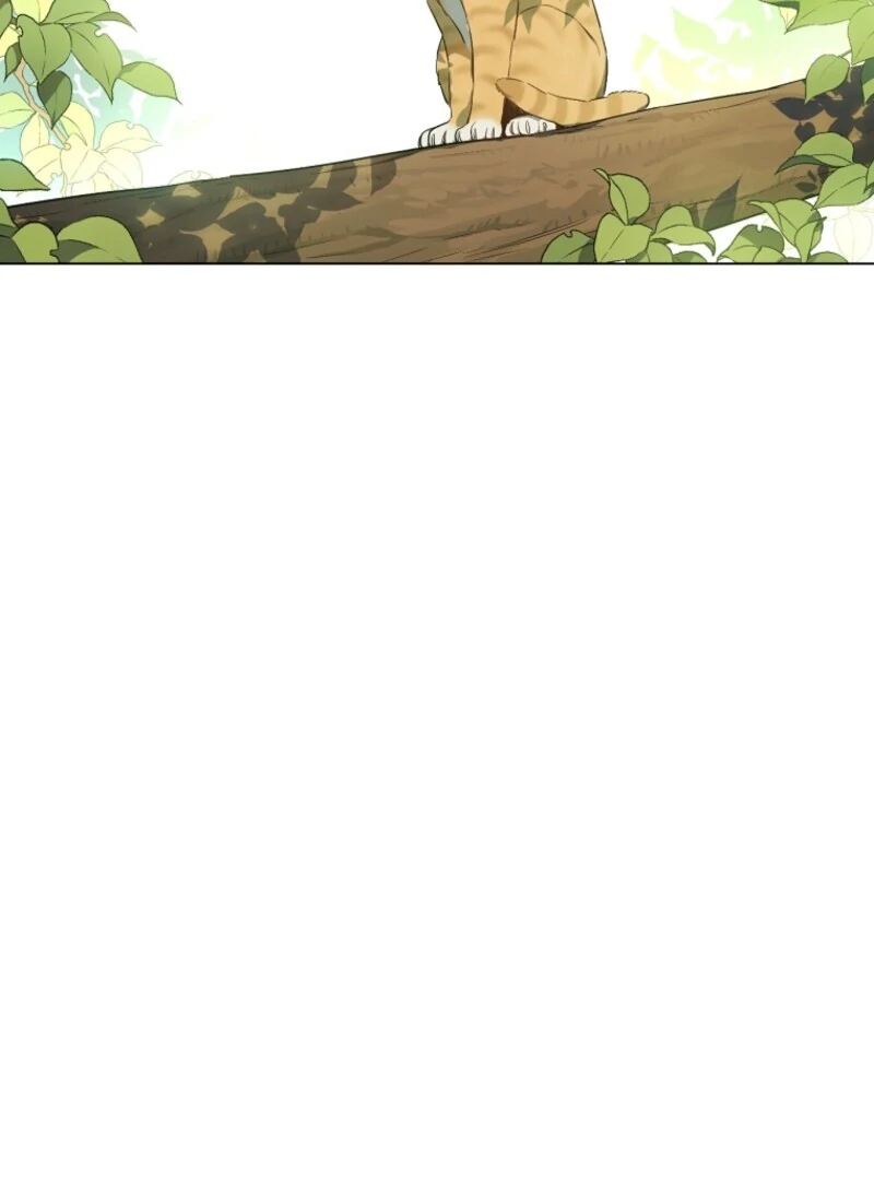 Read Who Made Me A Princess Manga Online