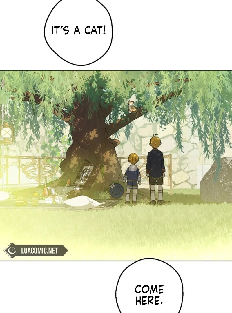 Read Who Made Me A Princess Manga Online