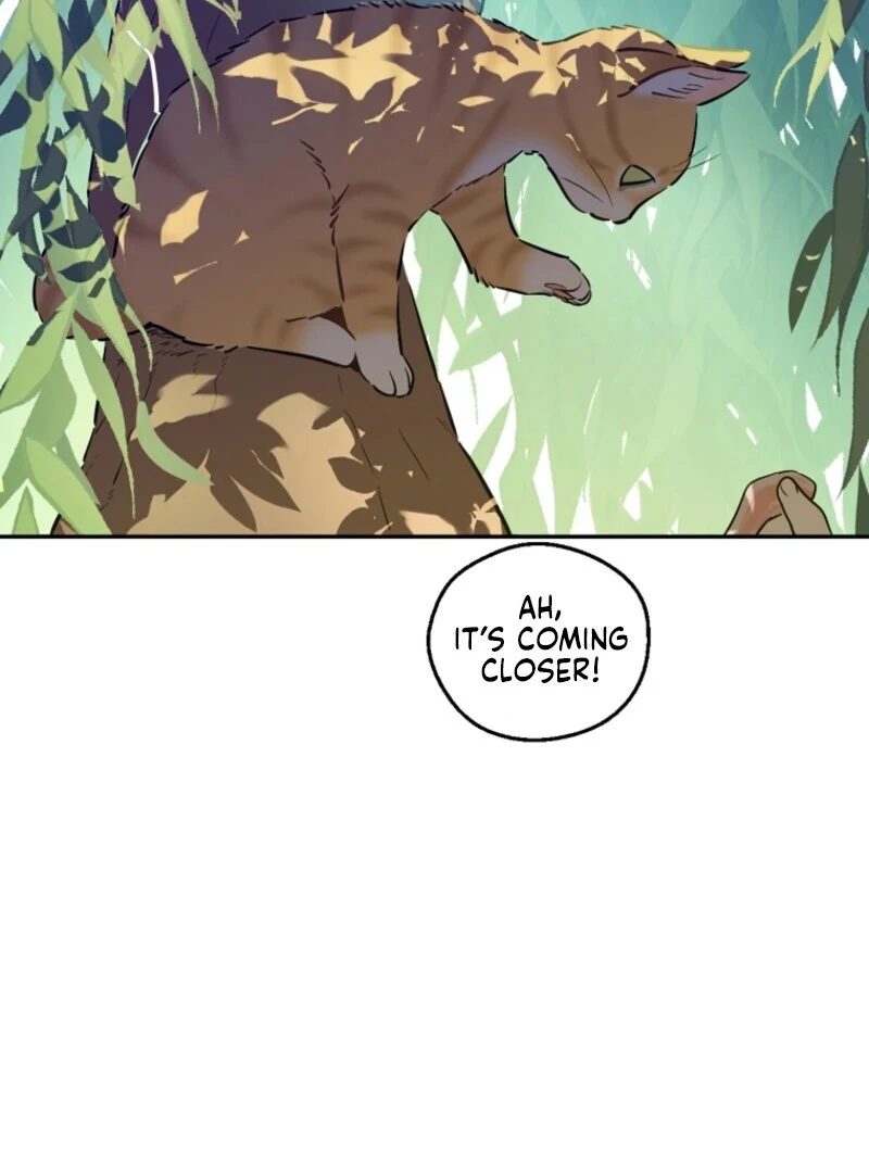 Read Who Made Me A Princess Manga Online