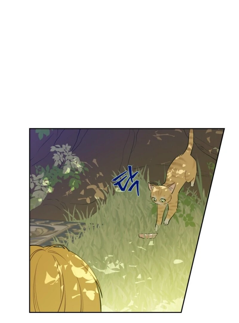 Read Who Made Me A Princess Manga Online