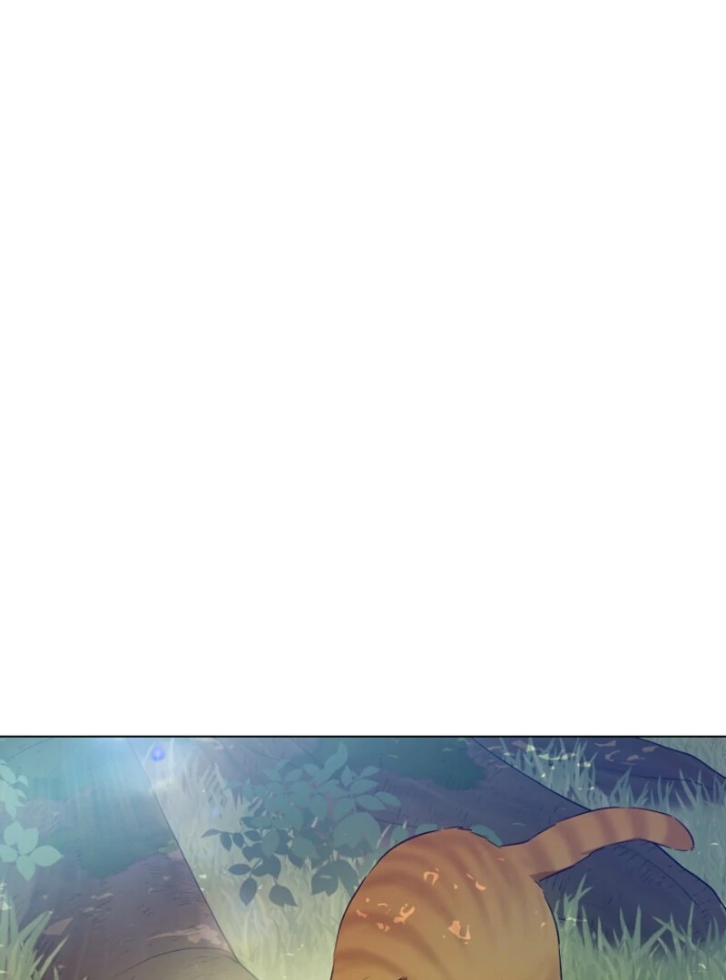 Read Who Made Me A Princess Manga Online