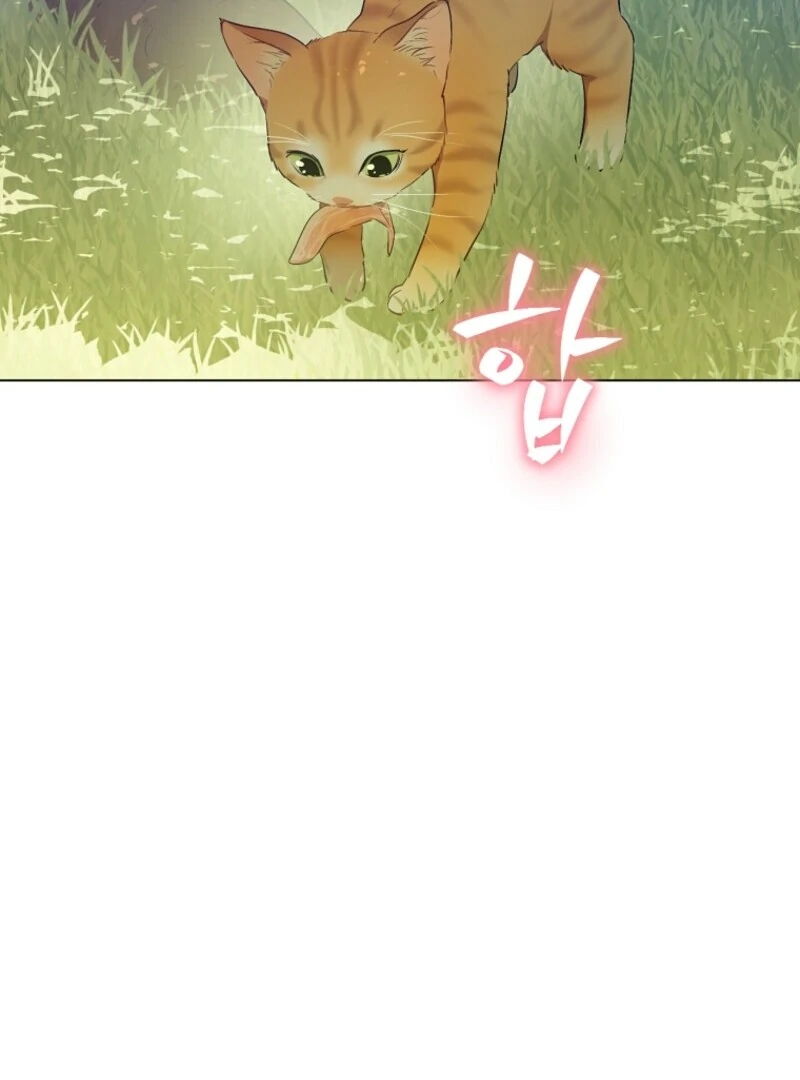 Read Who Made Me A Princess Manga Online