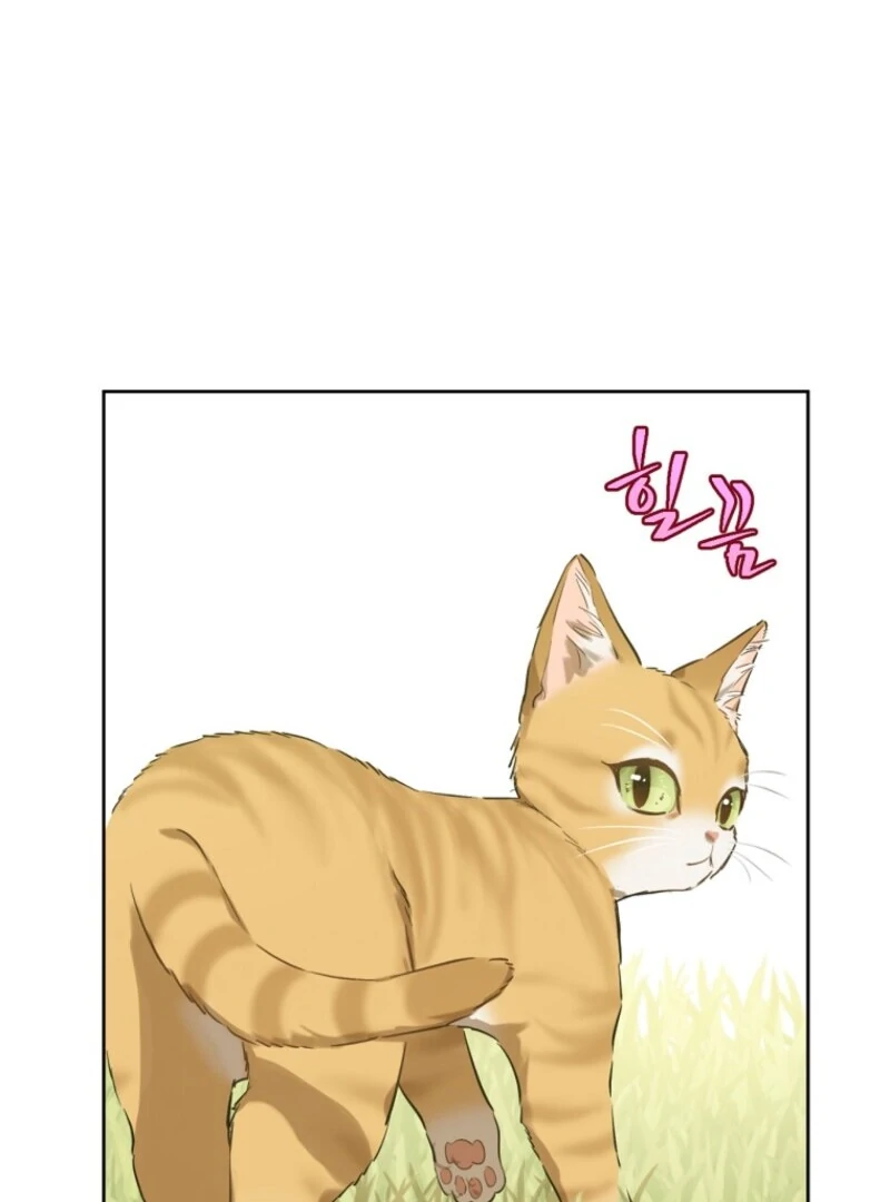 Read Who Made Me A Princess Manga Online