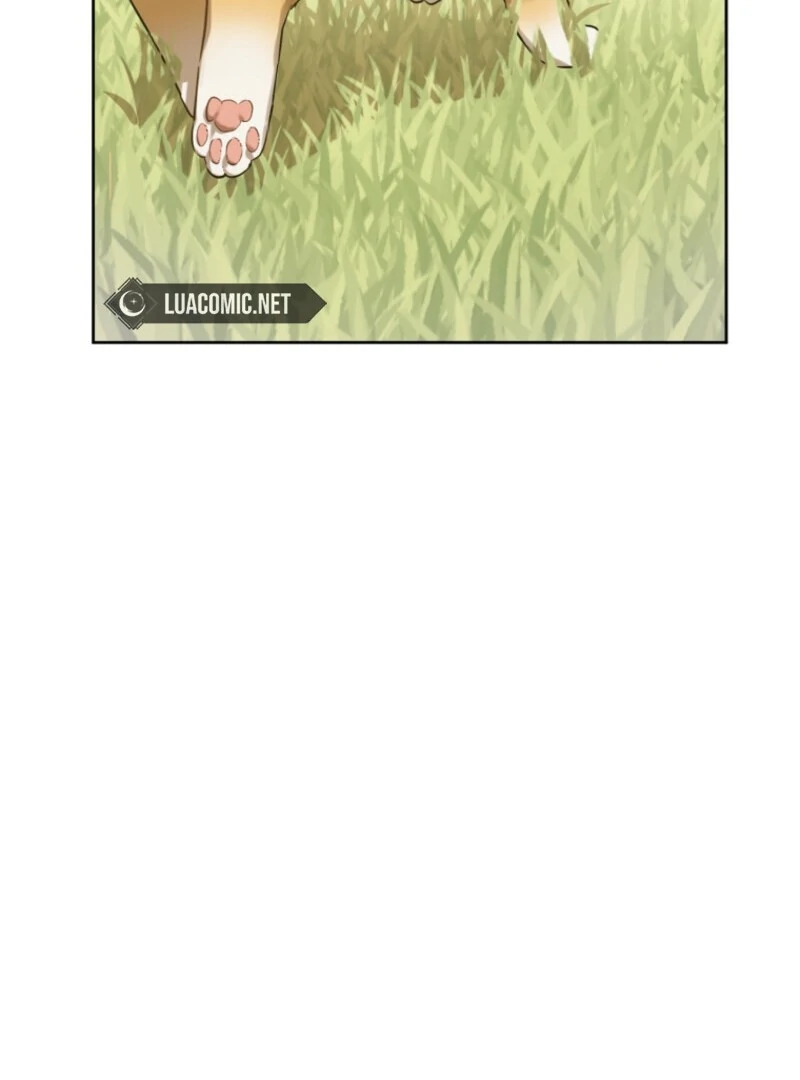 Read Who Made Me A Princess Manga Online