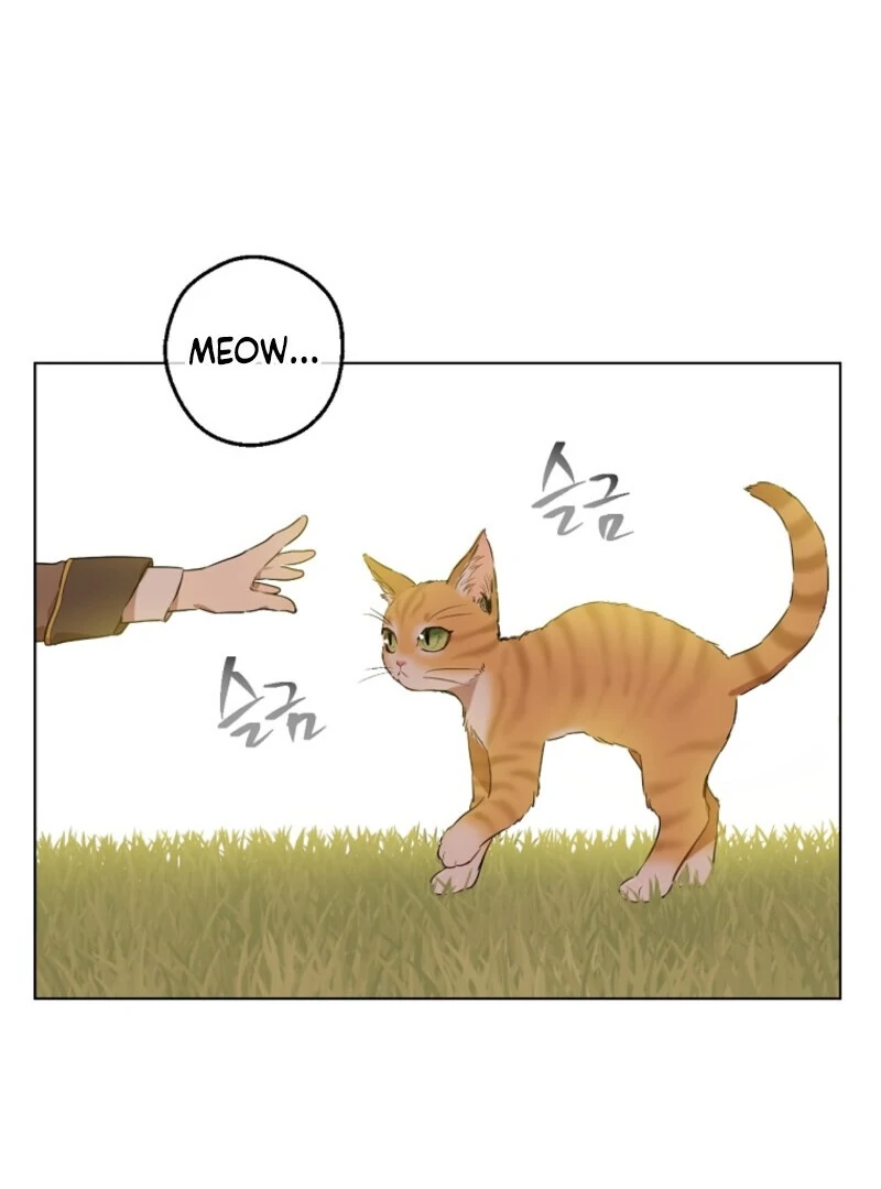 Read Who Made Me A Princess Manga Online