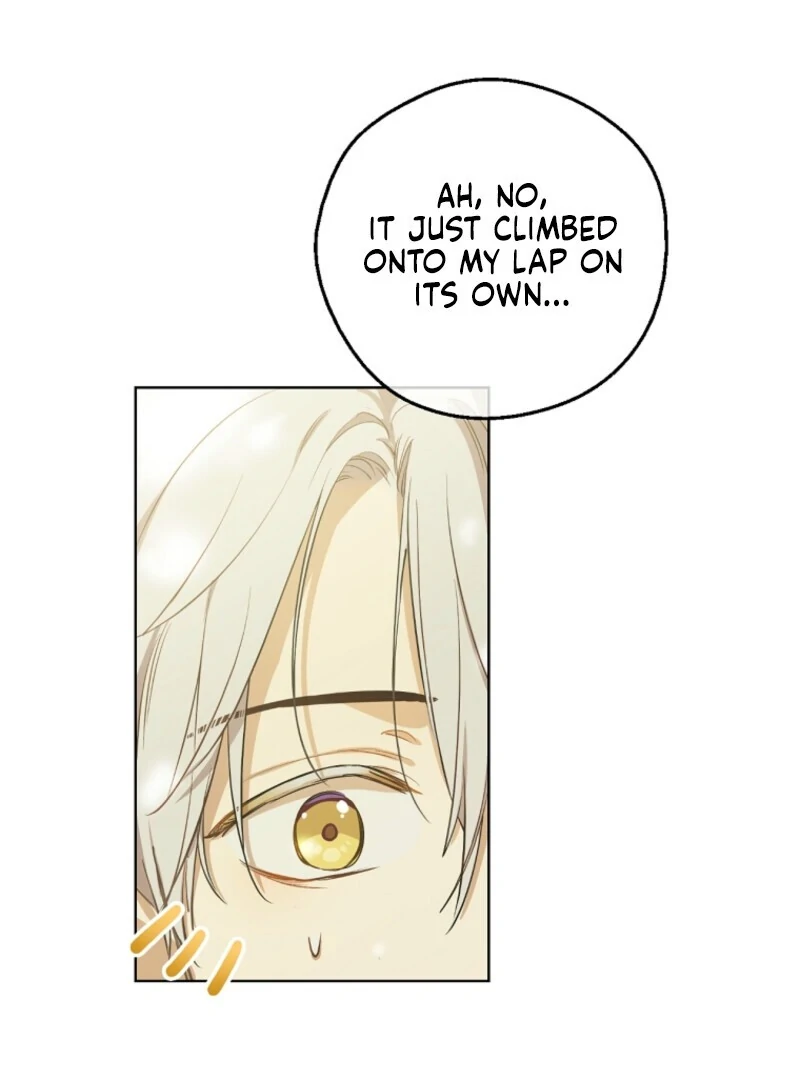 Read Who Made Me A Princess Manga Online