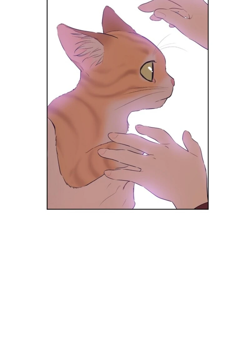 Read Who Made Me A Princess Manga Online