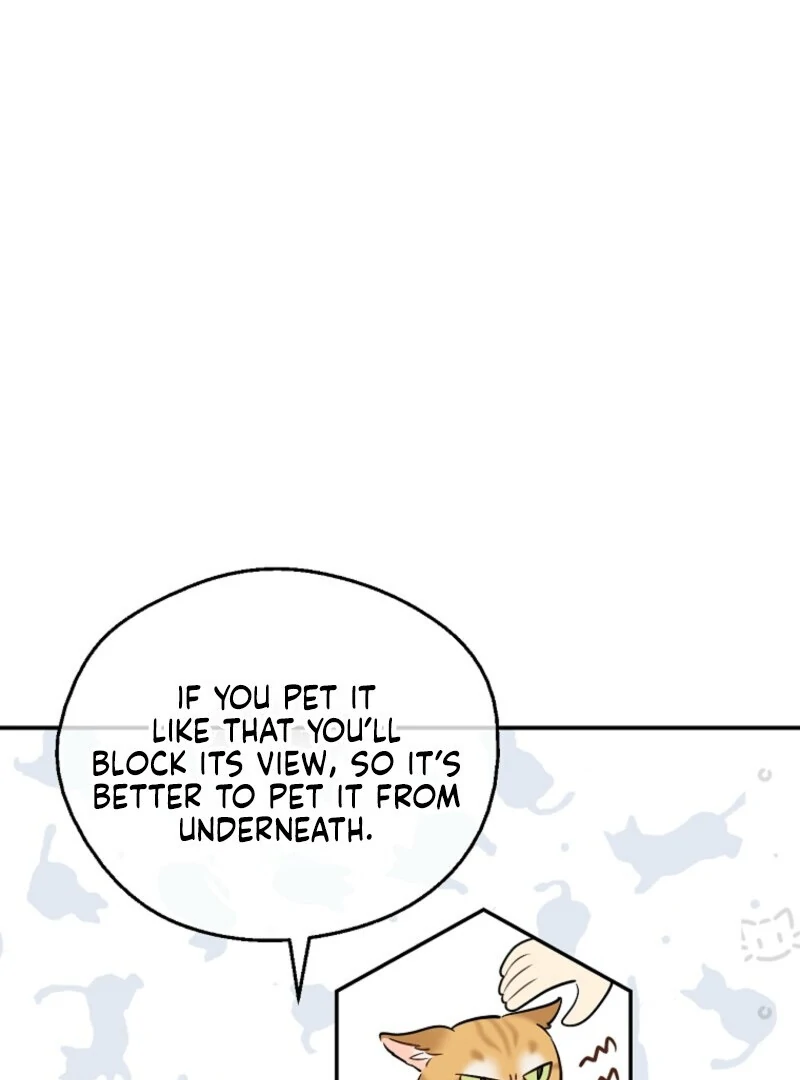 Read Who Made Me A Princess Manga Online