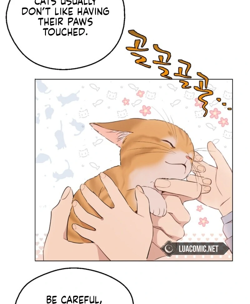 Read Who Made Me A Princess Manga Online