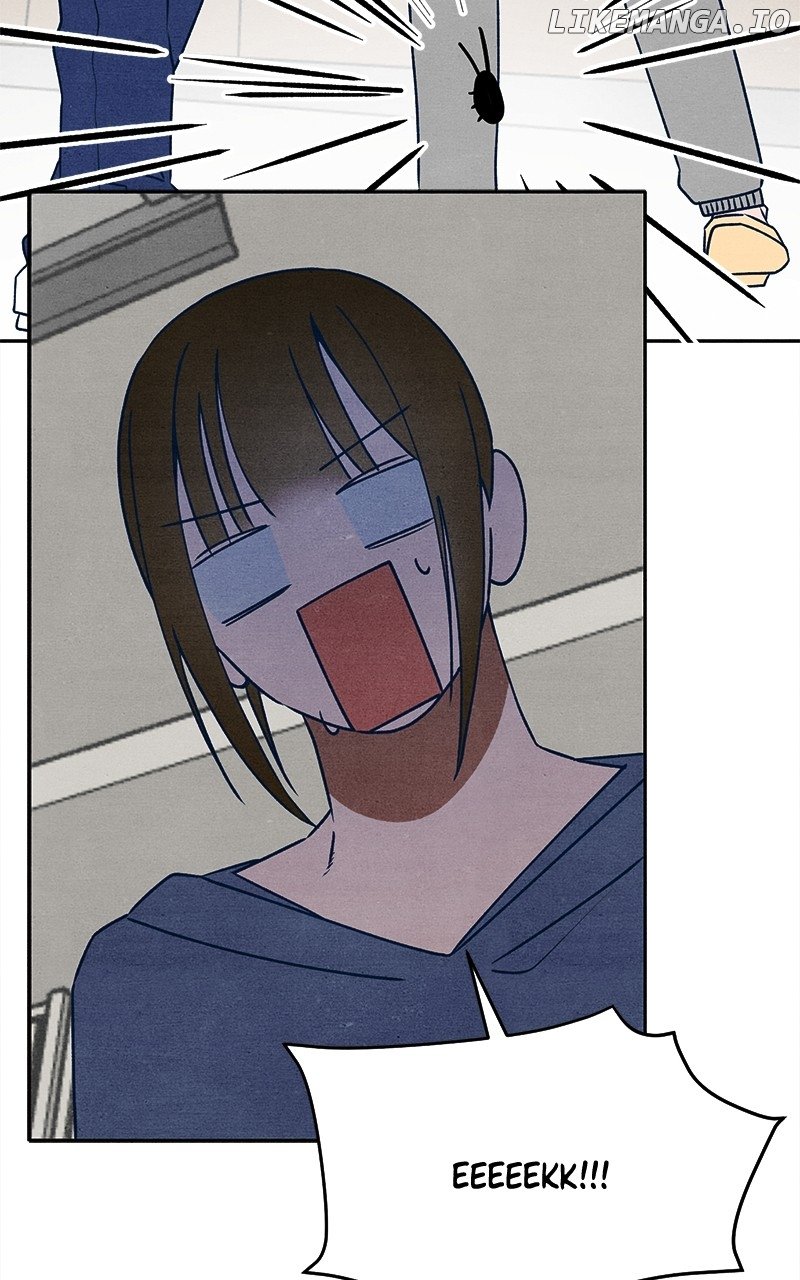 Read Who's That Long-Haired Senior RSS Feed Manga Online