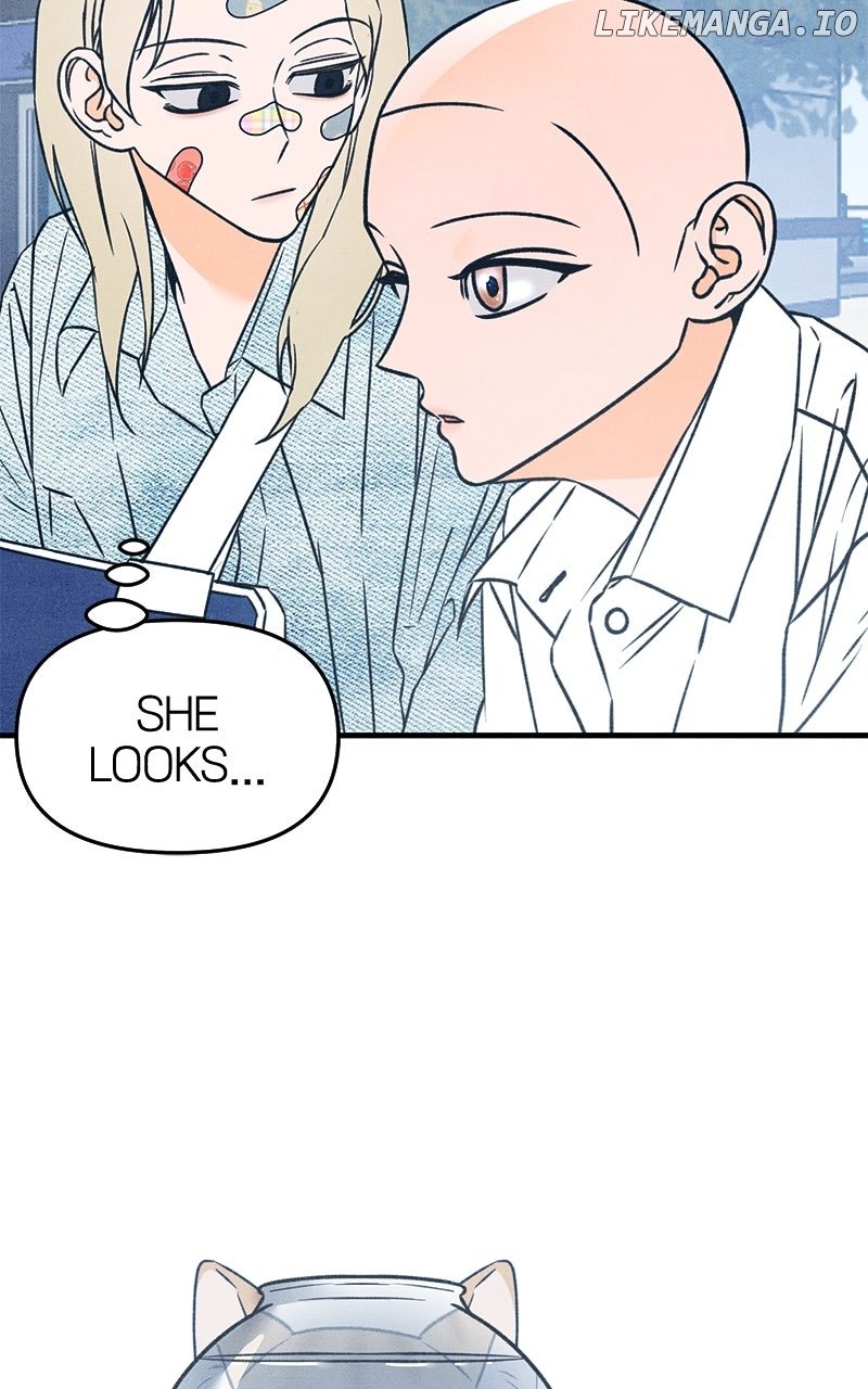 Read Who's That Long-Haired Senior RSS Feed Manga Online