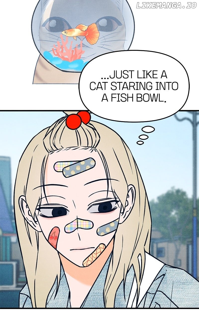 Read Who's That Long-Haired Senior RSS Feed Manga Online