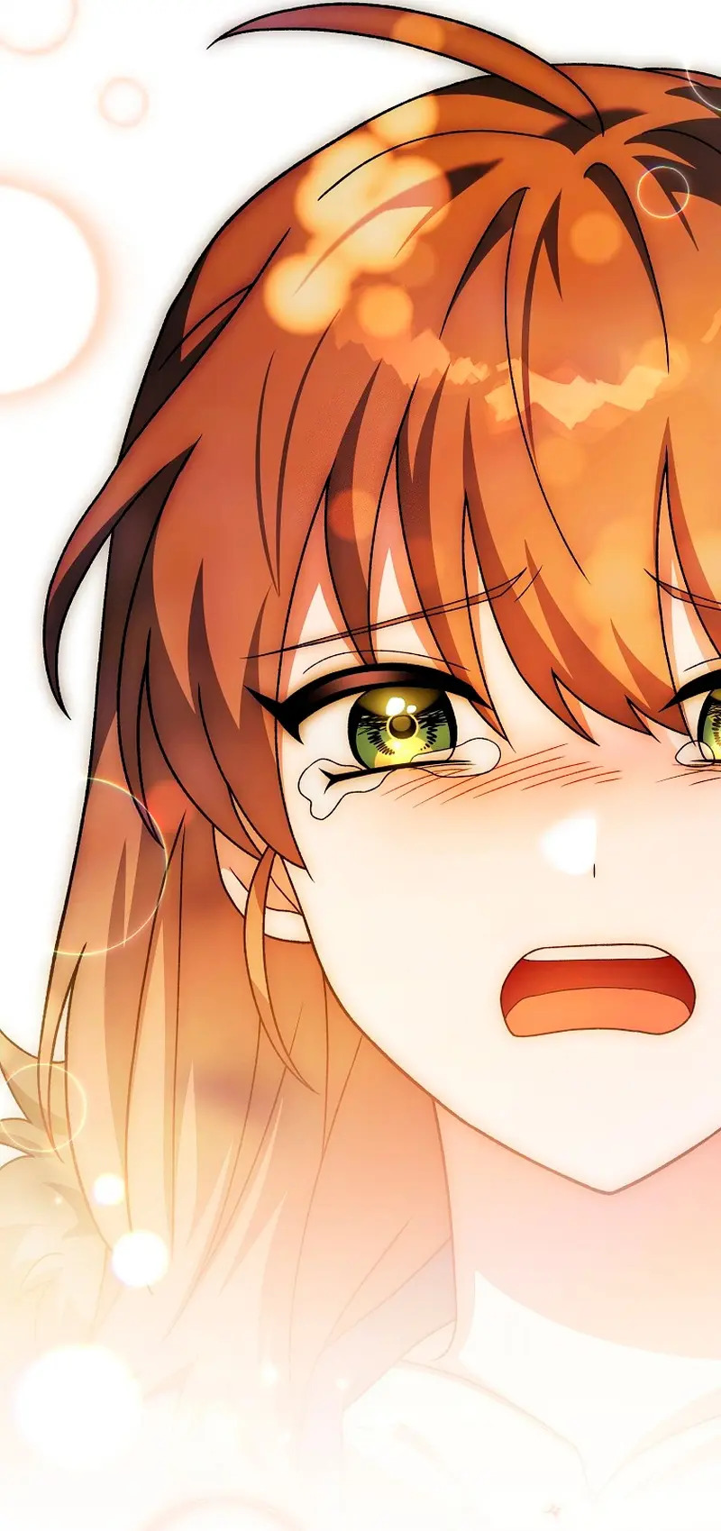 Read EL extra de la novela (es) Manga Online