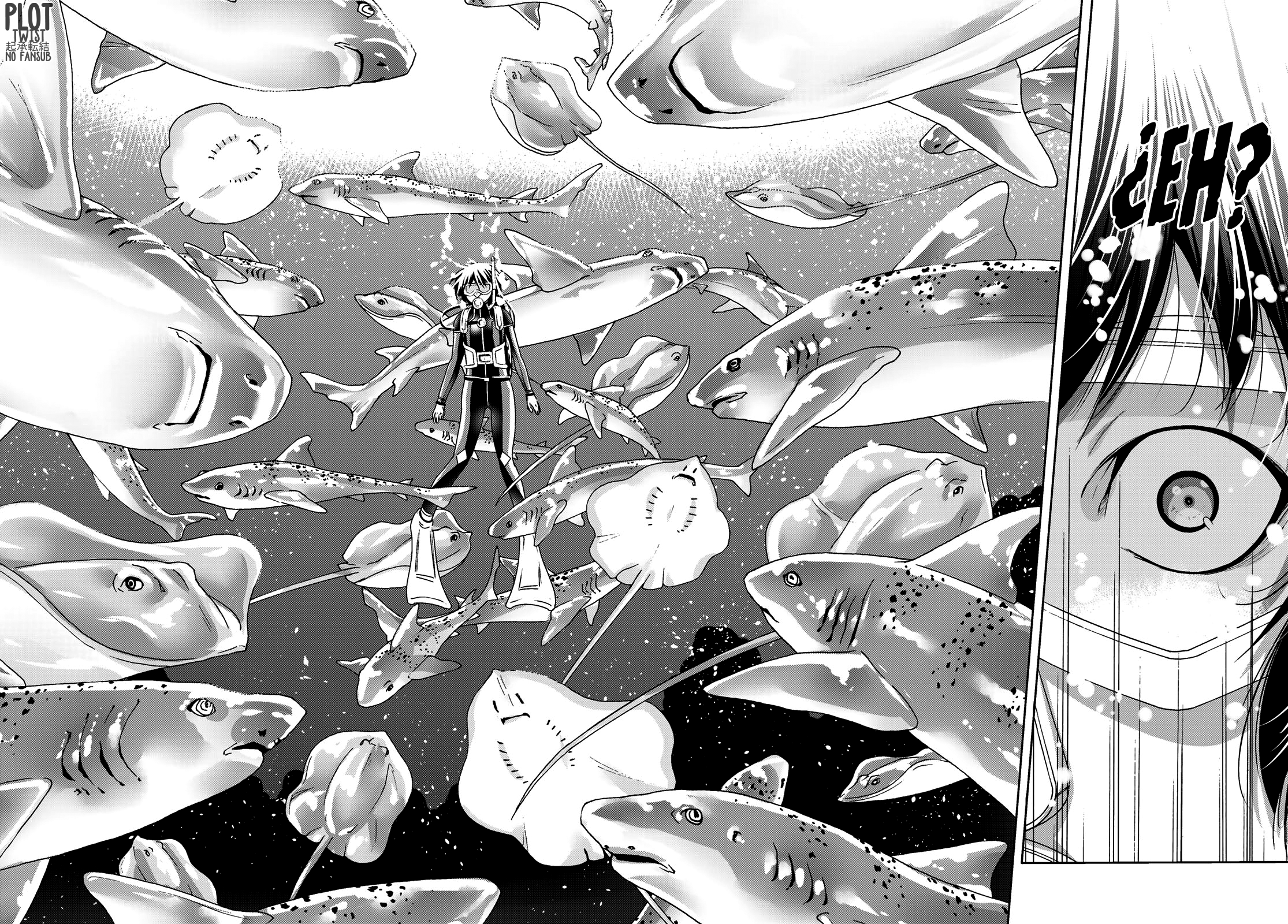 Read Grand Blue (es) Manga Online