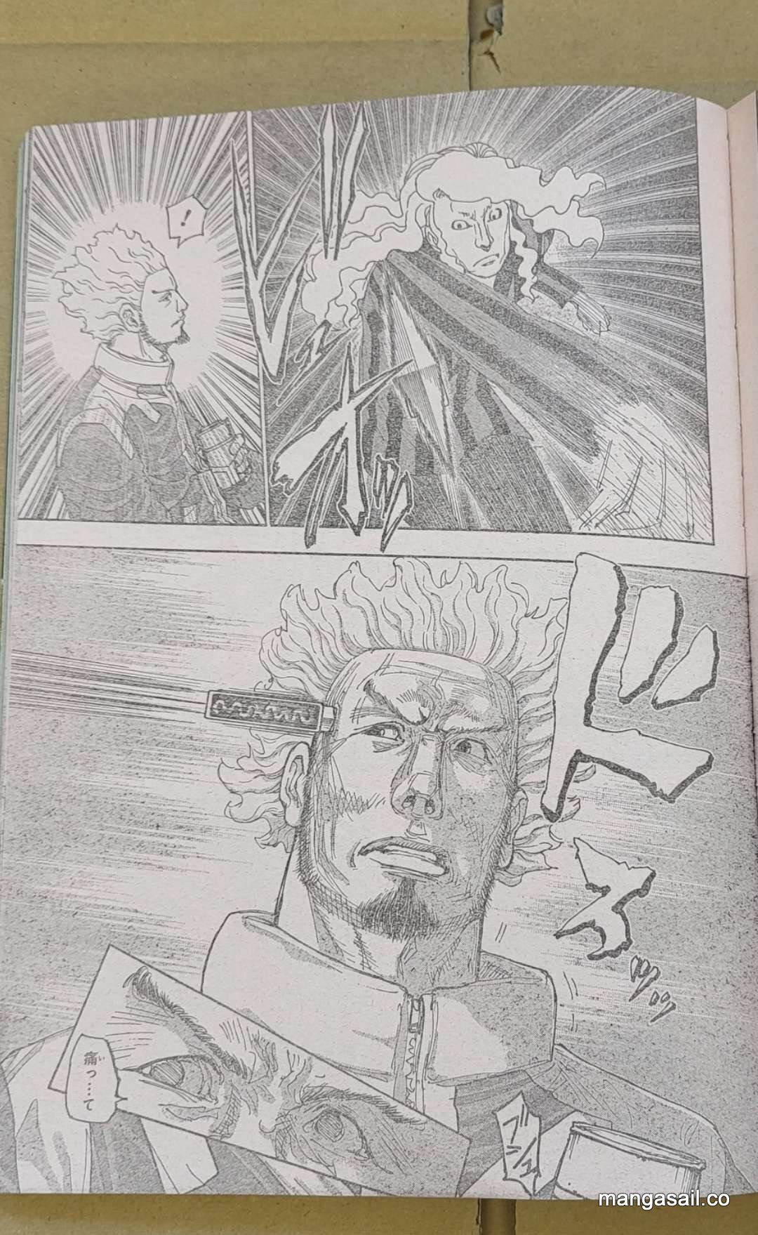 Read Hunter X Hunter (es) Manga Online