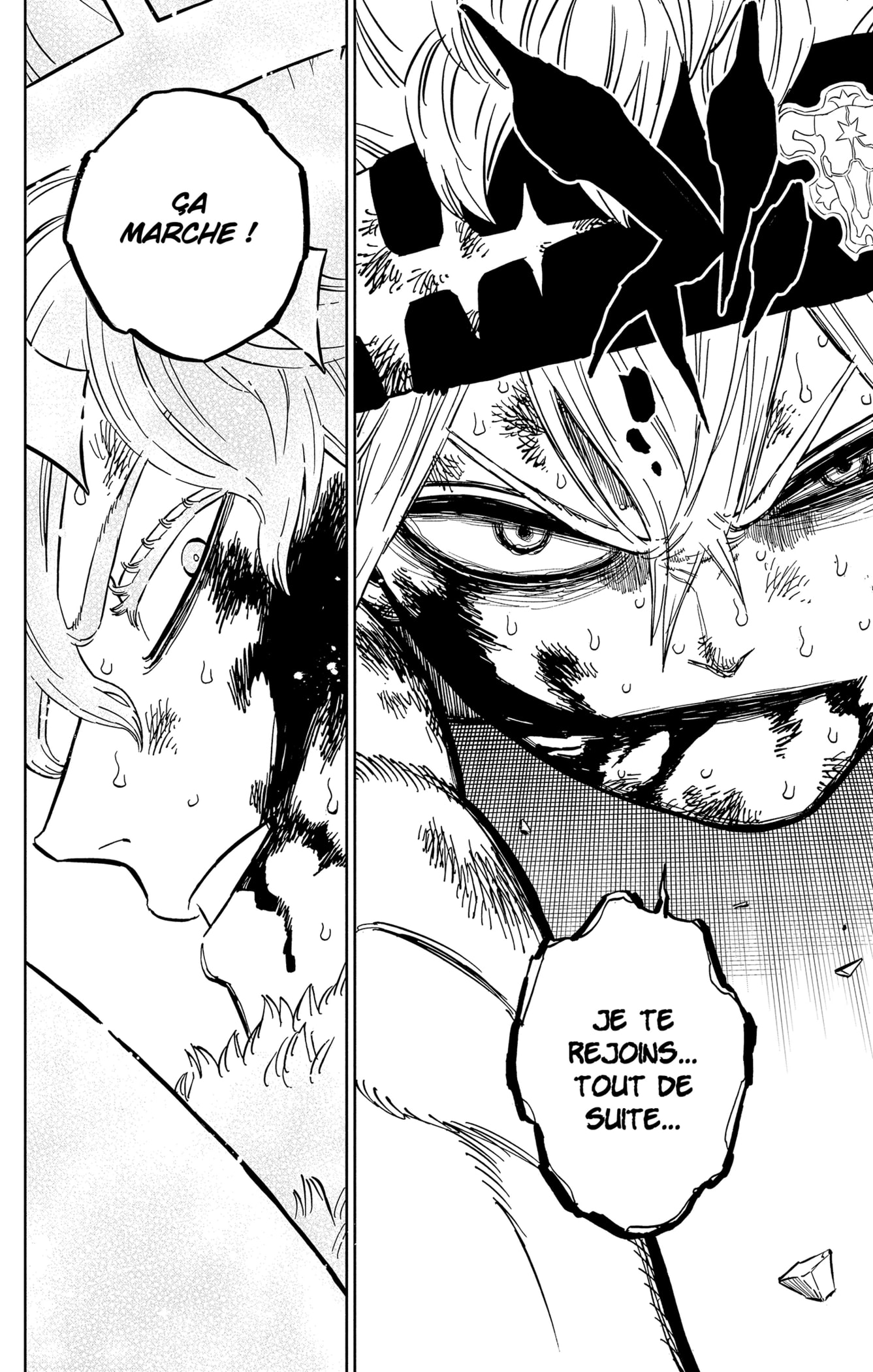 Read Black Clover (fr) Manga Online