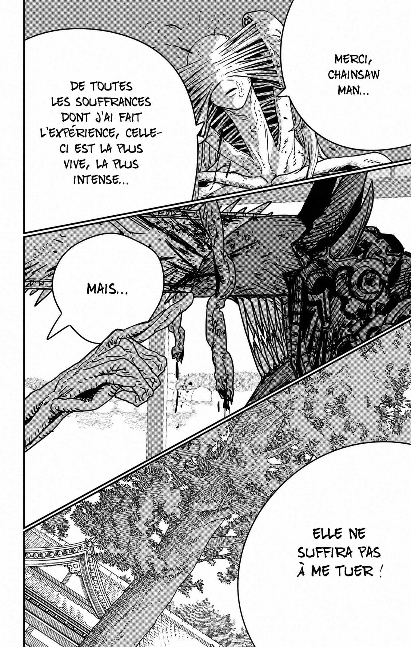 Read Chainsaw man (fr) Manga Online