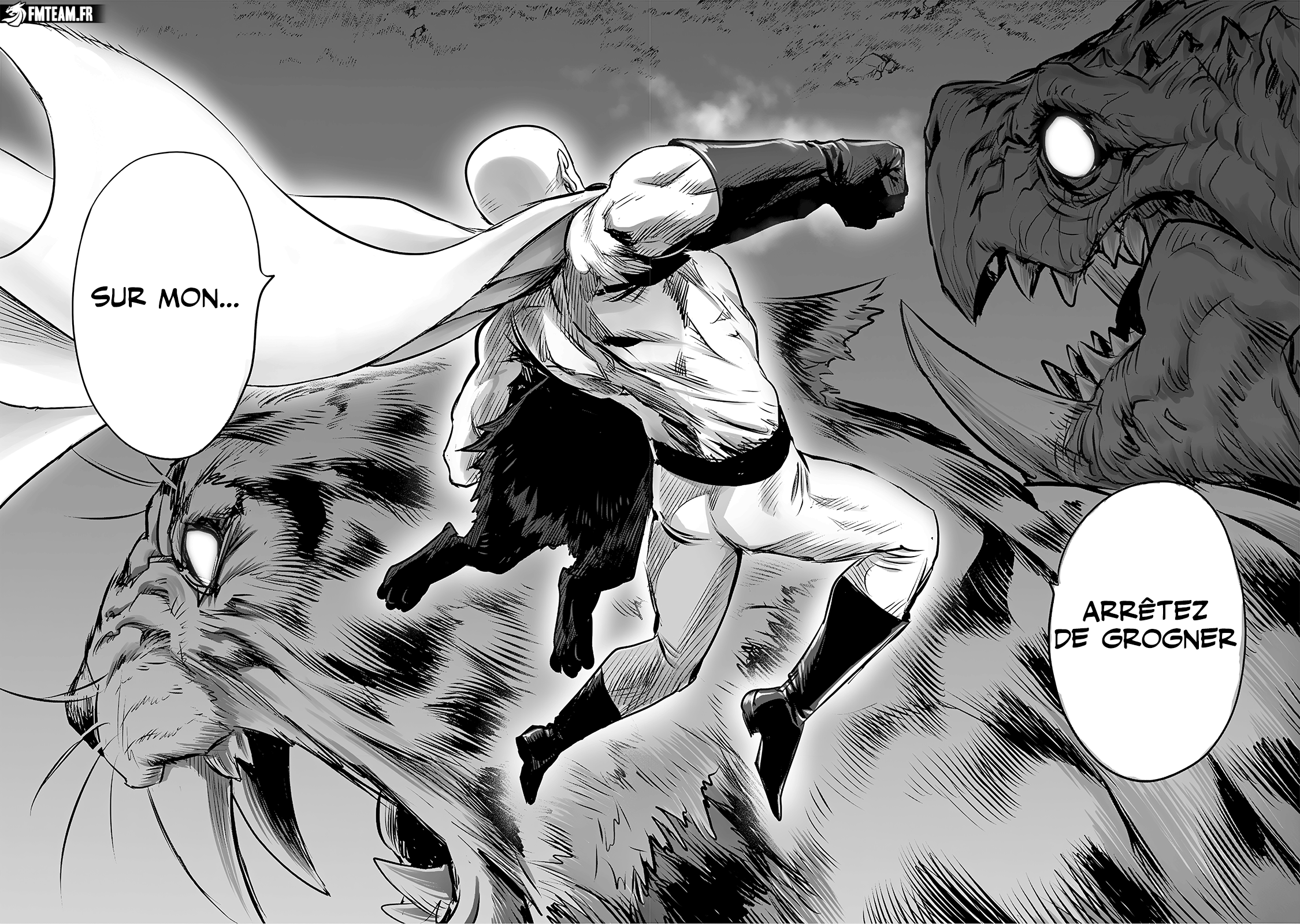 Read One Punch man (fr) Manga Online